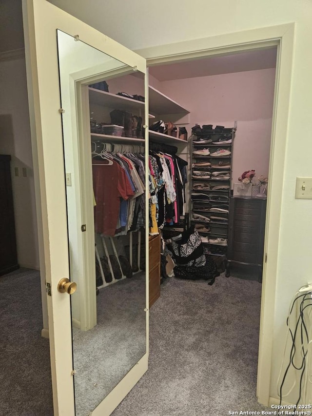 spacious closet with carpet flooring