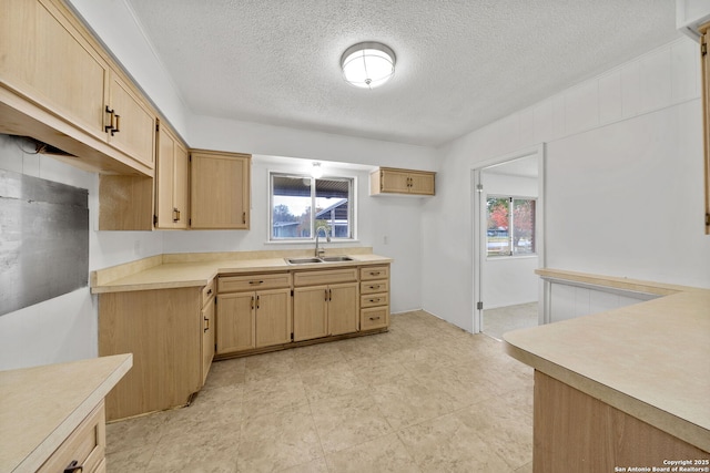 kitchen with plenty of natural light, light brown cabinets, light countertops, and a sink