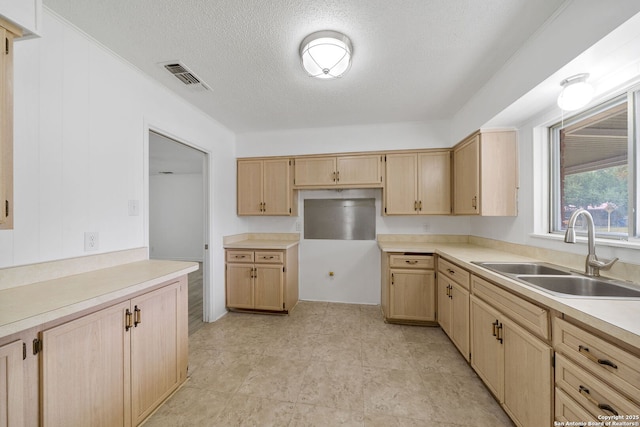 kitchen featuring light brown cabinets, light countertops, and a sink