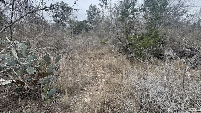 LOT3 Earhart Ln, San Antonio TX, 78239 land for sale