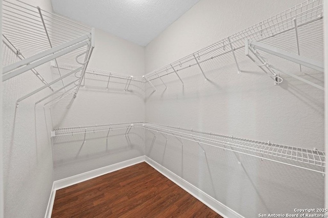 spacious closet with wood finished floors