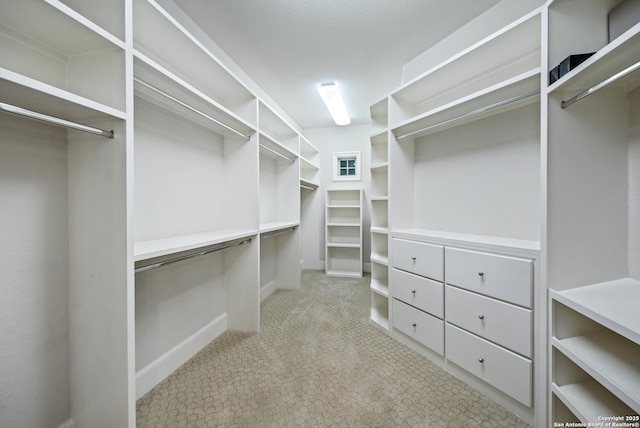 spacious closet featuring light colored carpet