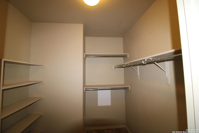 view of walk in closet