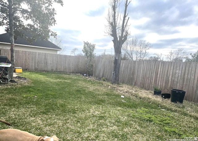 view of yard featuring a fenced backyard