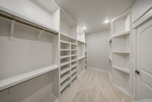 walk in closet featuring light carpet