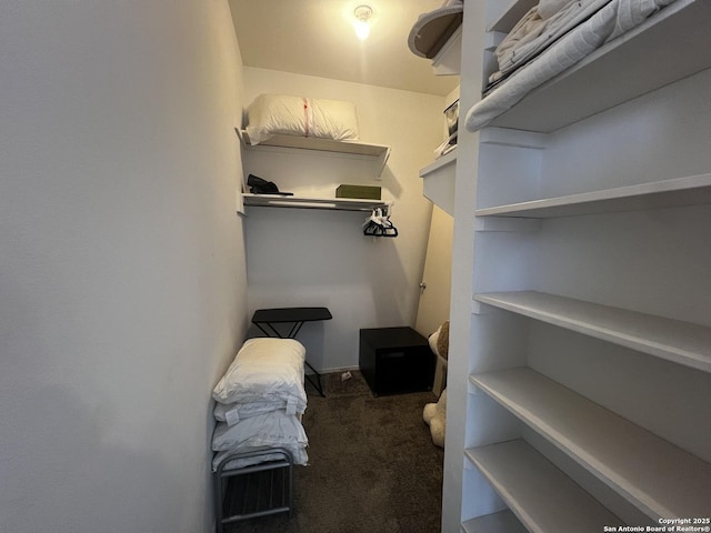 spacious closet featuring dark carpet