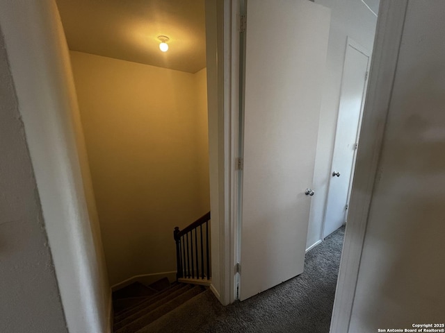 stairs featuring carpet floors