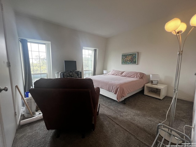 bedroom featuring dark carpet