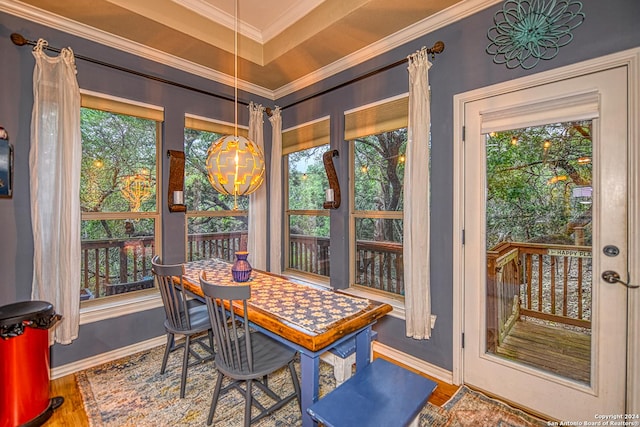 sunroom with a tray ceiling