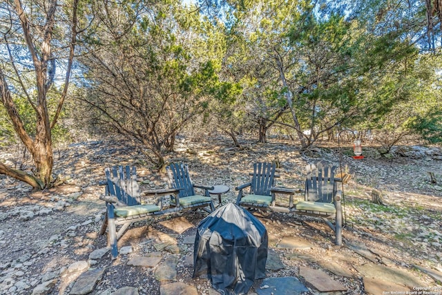 view of yard with a patio area