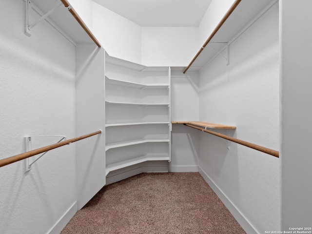walk in closet featuring carpet