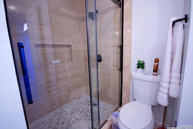 bathroom with toilet and a stall shower