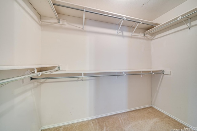 walk in closet featuring light colored carpet