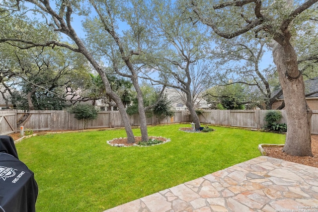 view of yard featuring a patio area and a fenced backyard