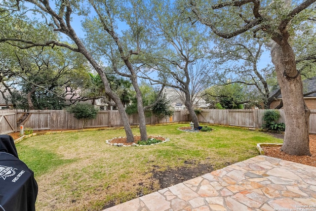 view of yard with a patio area and a fenced backyard