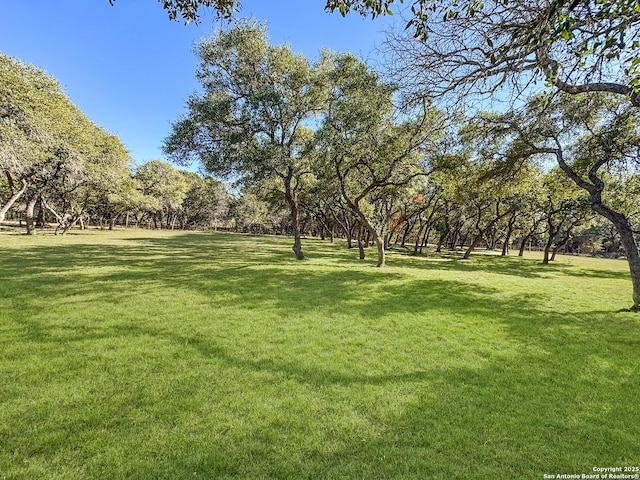 view of home's community with a lawn