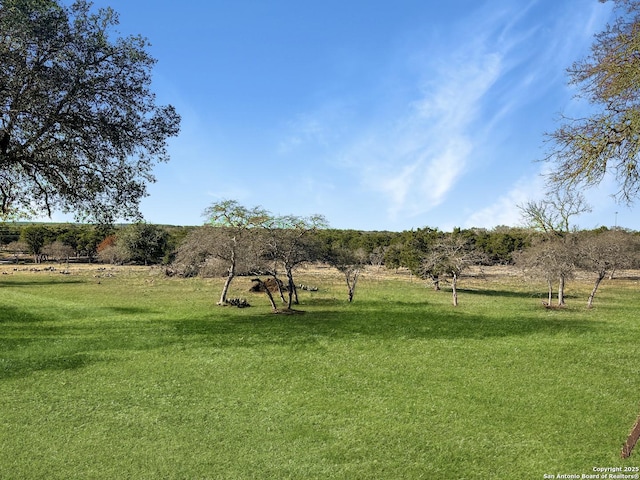 view of yard featuring a rural view