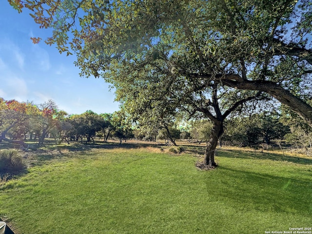 565 Red Bluff Ranch Rd, Pipe Creek, TX 78063 - view of green lawn