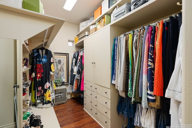 spacious closet featuring dark wood-style flooring