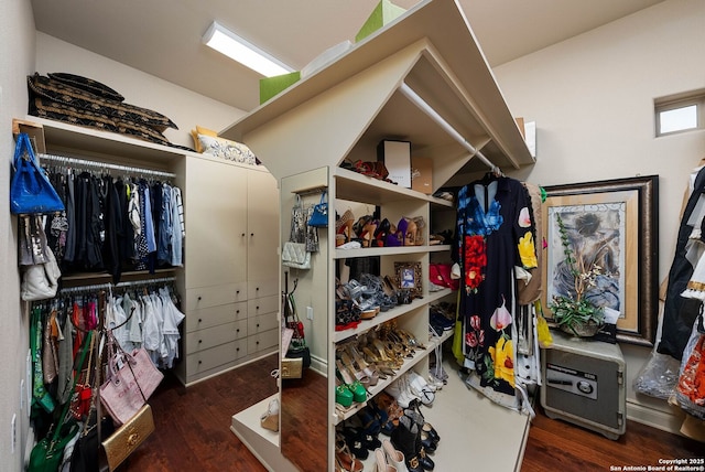 walk in closet with dark wood finished floors