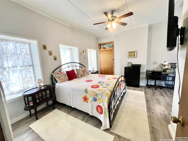 bedroom featuring multiple windows, wood finished floors, a ceiling fan, and baseboards