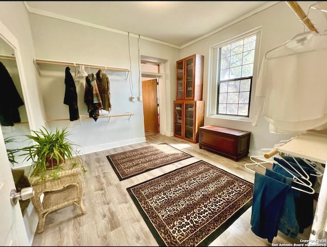 mudroom featuring ornamental molding and wood finished floors