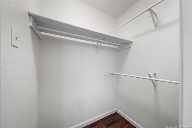 walk in closet featuring wood finished floors