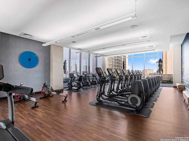 exercise room with a wall of windows, a view of city, visible vents, and wood finished floors