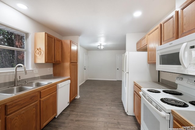 kitchen featuring dark wood-style flooring, brown cabinets, light countertops, a sink, and white appliances