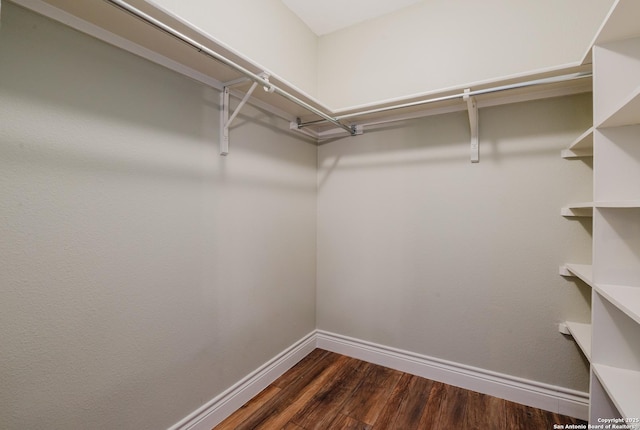 walk in closet with dark wood-style flooring