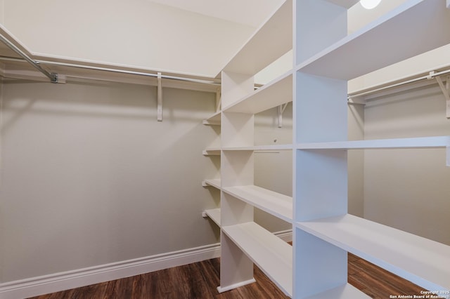 spacious closet with dark wood-style floors