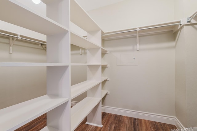 spacious closet featuring dark wood-style floors