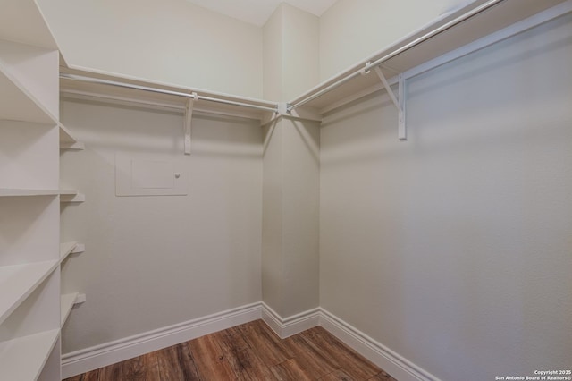 walk in closet with dark wood-type flooring