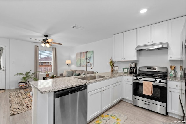 kitchen featuring a peninsula, under cabinet range hood, stainless steel appliances, and a sink