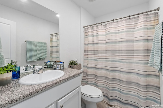 full bathroom with toilet and vanity