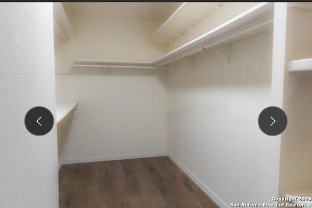 walk in closet featuring dark wood finished floors