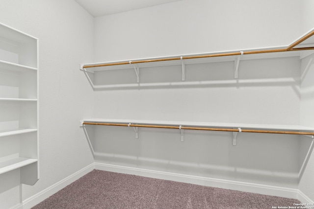 spacious closet with carpet flooring