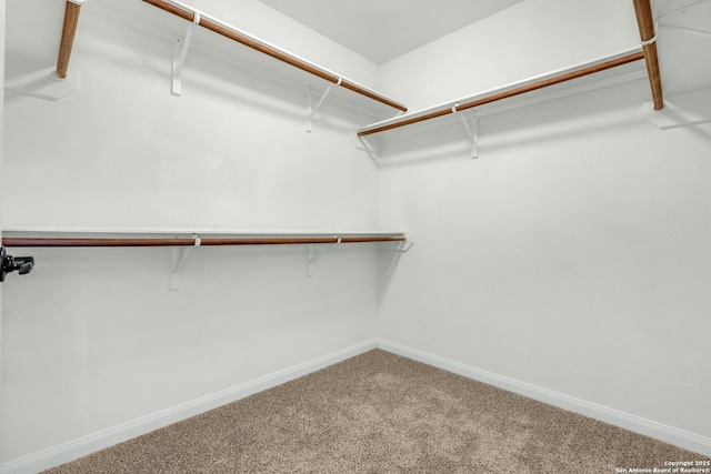 spacious closet with carpet floors