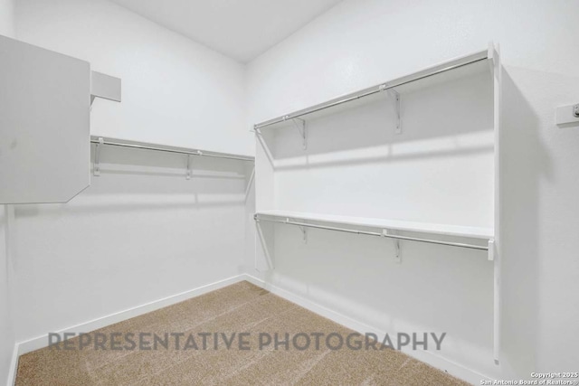 walk in closet featuring light colored carpet