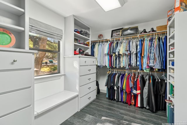 walk in closet featuring dark wood-type flooring