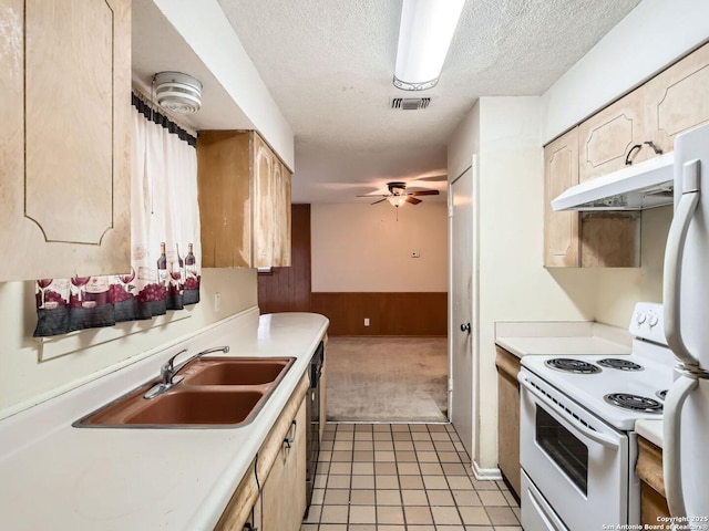 kitchen with white appliances, light countertops, a sink, and wainscoting