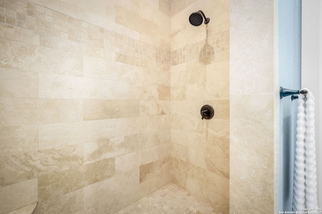 room details featuring tiled shower