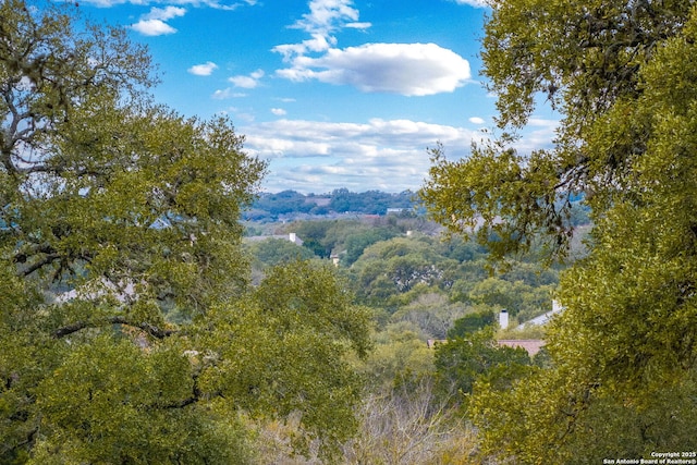 view of nature featuring a view of trees