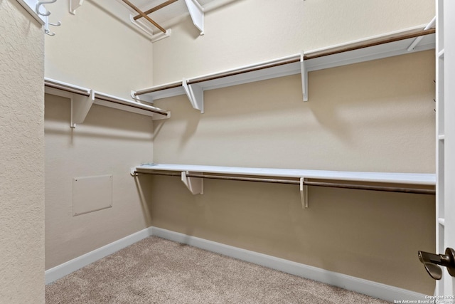 walk in closet featuring light colored carpet