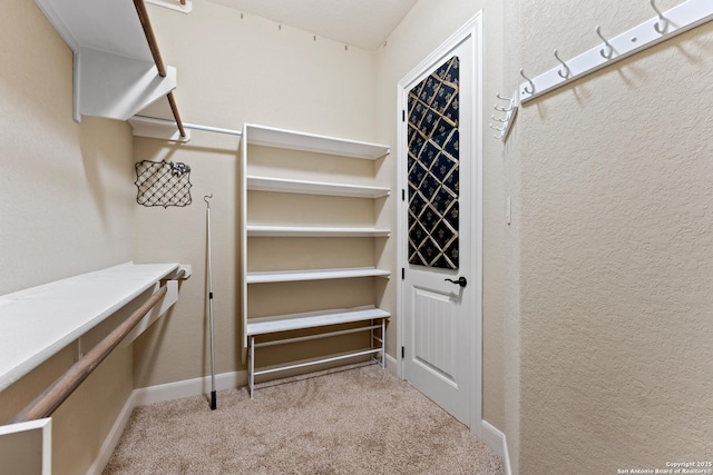 walk in closet with light carpet