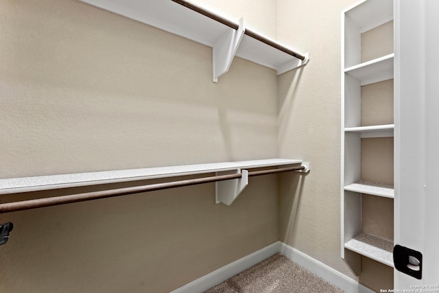 spacious closet featuring carpet floors