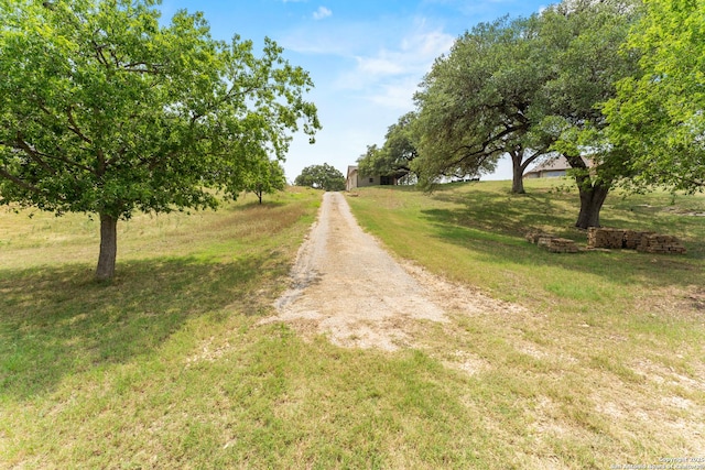 view of street featuring driveway