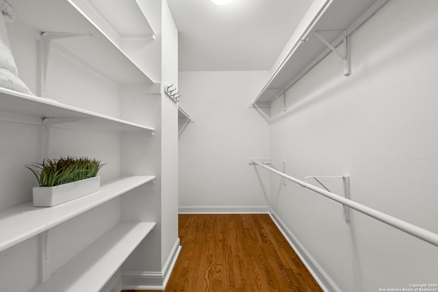 walk in closet with dark wood-type flooring