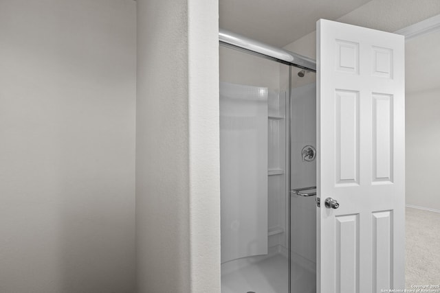 bathroom featuring a stall shower