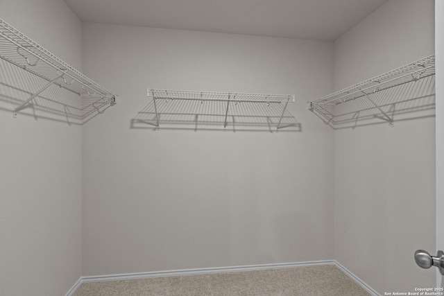 spacious closet with carpet flooring